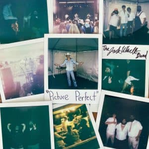 Picture Perfect cover art